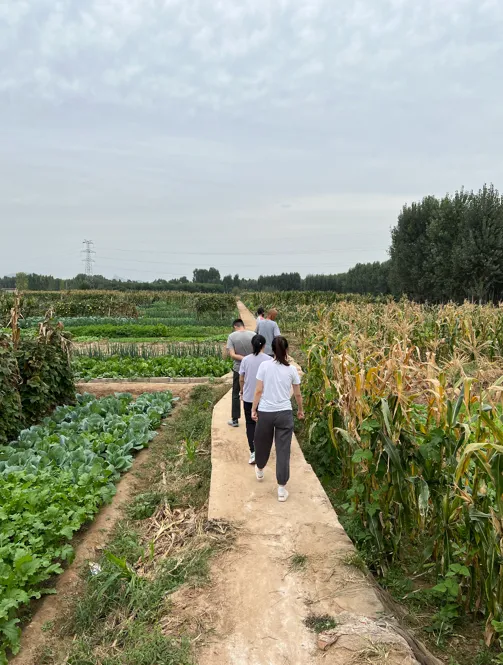 caiyuan
